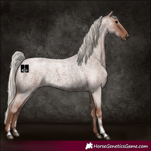 Horse Color:Silver Blue Roan Sabino 