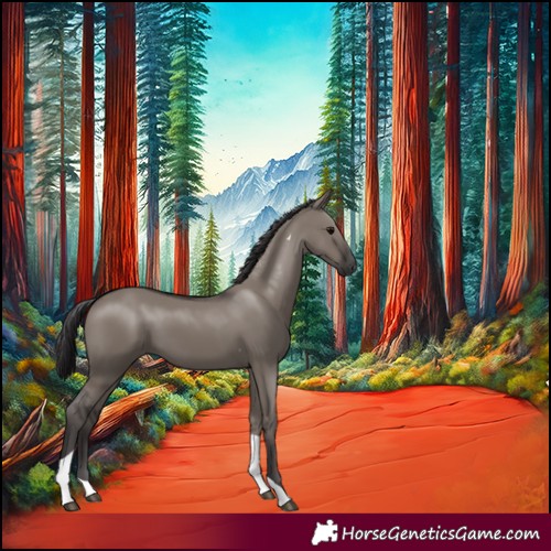 Horse Color:Smoky Grullo Tobiano 