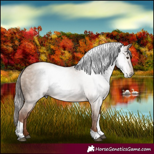 Horse Color:Gray Red Dun Tobiano 