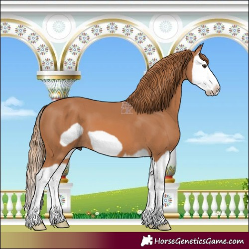 Horse Color:Chestnut Splash Frame 