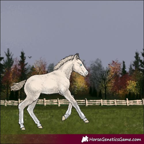 Horse Color:Perlino 