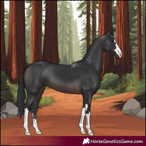 Horse Color:Brown 