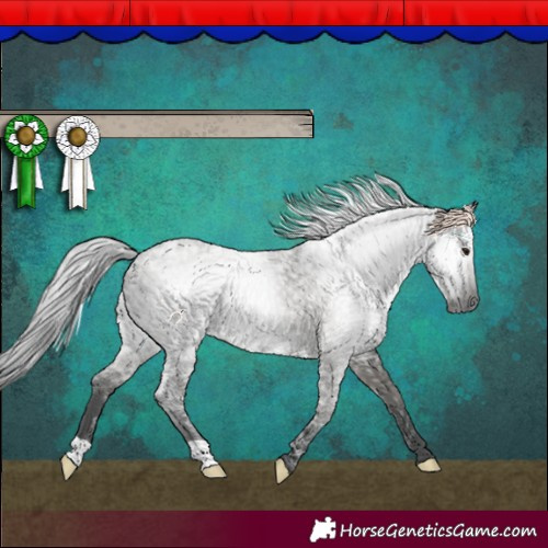 Horse Color:Gray Smoky Grullo Ice 