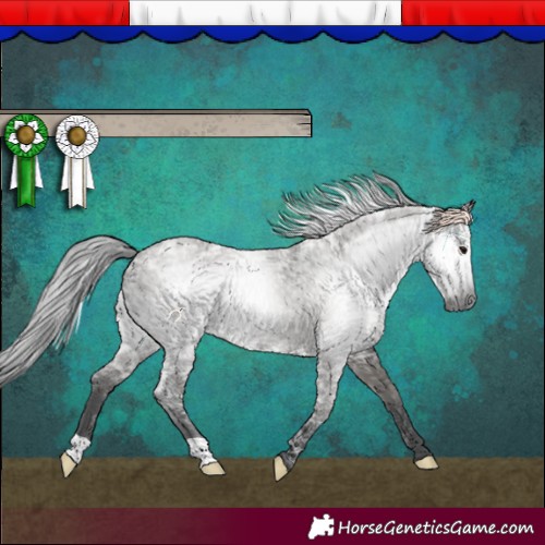 Horse Color:Gray Smoky Grullo Ice 