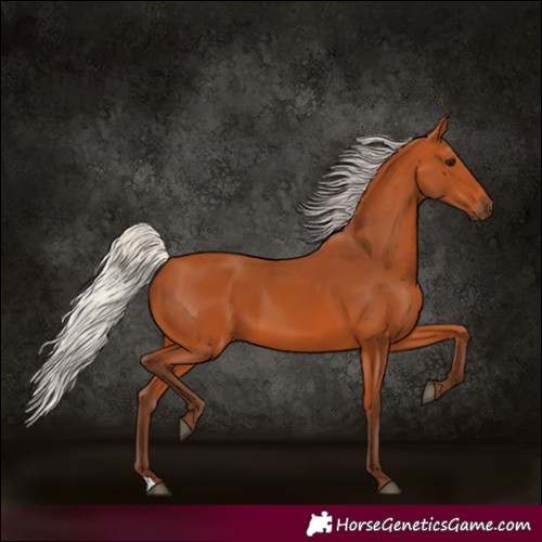 Horse Color:Silver Bay 