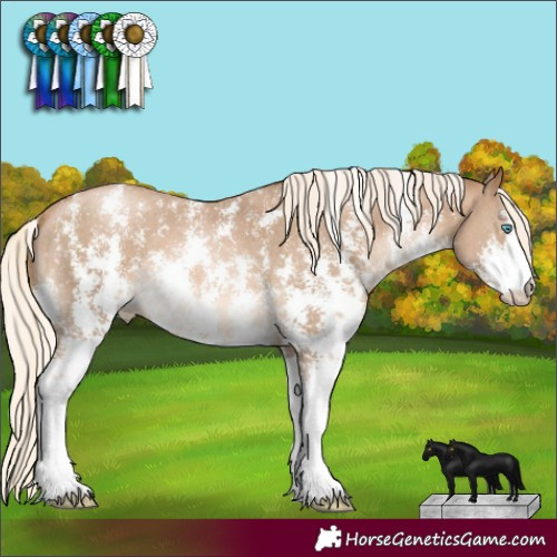 Horse Color:Chocolate Palomino Pearl Sabino 