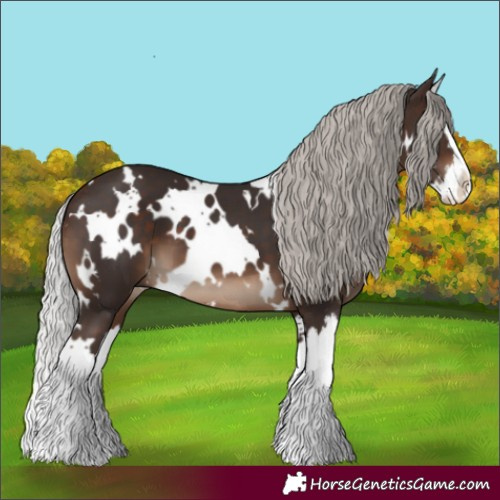 Horse Color:White Spotted Silver Brown Splash 