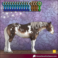 Horse Color:White Spotted Silver Brown Splash 