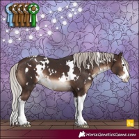 Horse Color:White Spotted Silver Brown Splash 
