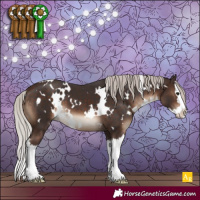 Horse Color:White Spotted Silver Brown Splash 