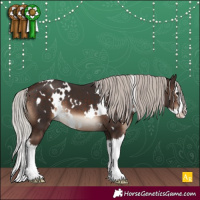 Horse Color:White Spotted Silver Brown Splash 