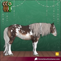 Horse Color:White Spotted Silver Brown Splash 