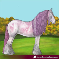 Horse Color:Watercolor White Spotted Liver Red Onyx Chinchilla Ice 