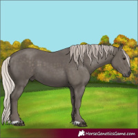 Horse Color:Silver Black 