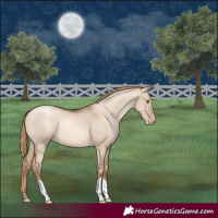 Horse Color:Liver Red Dun Pearl 