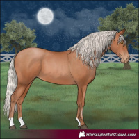 Horse Color:Silver Brown Pearl 