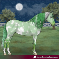 Horse Color:Watercolor White Spotted Liver Red Dun 