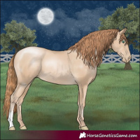 Horse Color:Smoky Black Pearl 