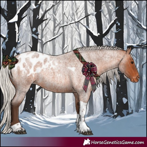 Horse Color:Silver Brown Roan Tobiano Appaloosa 