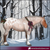 Horse Color:Silver Brown Roan Tobiano Appaloosa 