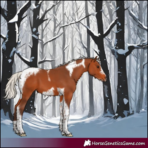 Horse Color:Silver Bay Tobiano Frame 