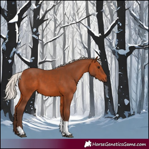 Horse Color:Silver Brown Tobiano 