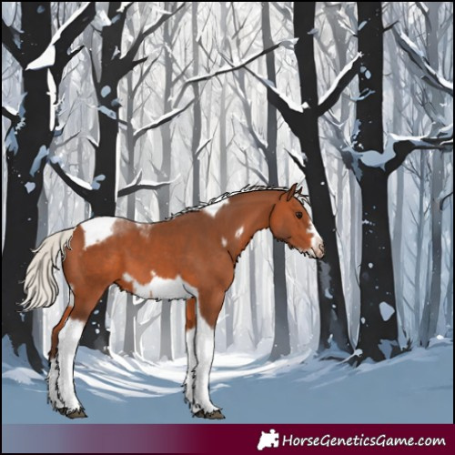 Horse Color:Silver Brown Tobiano Frame 