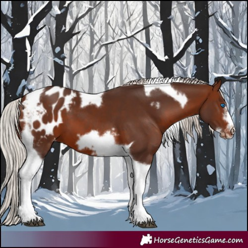 Horse Color:Silver Brown Tobiano Frame Blanket 