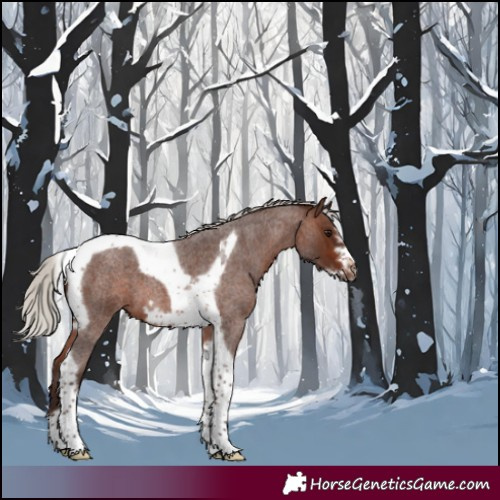 Horse Color:Silver Brown Roan Tobiano Frame 