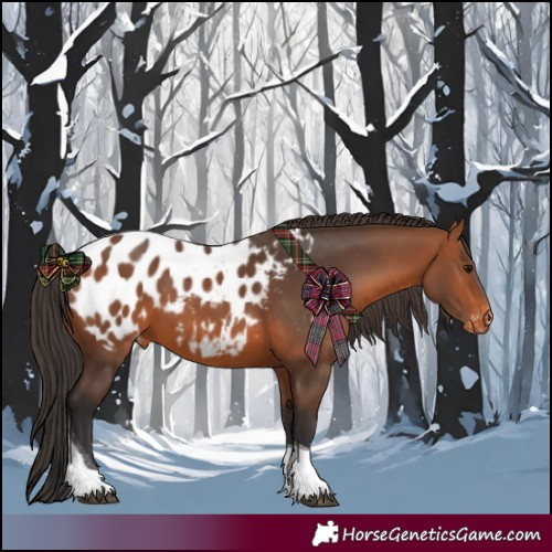 Horse Color:Bay Tobiano Blanket Rabicano 