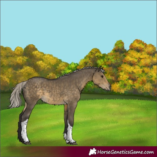 Horse Color:Silver Smoky Grullo Tobiano 