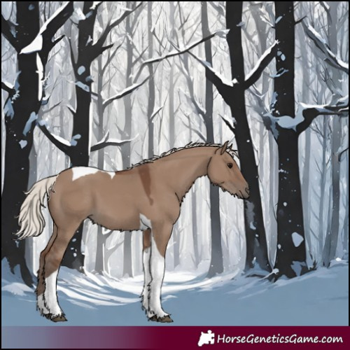 Horse Color:Silver Grullo Tobiano 