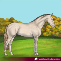 Horse Color:Perlino Dun 