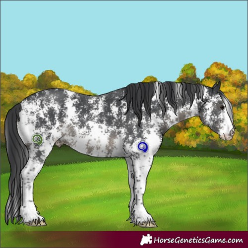 Horse Color:Black Sabino