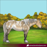 Horse Color:White Spotted Silver Buckskin Dun
