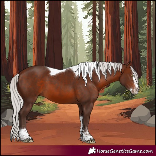 Horse Color:Silver Brown Mushroom Sabino Splash Tobiano 