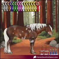 Horse Color:White Spotted Liver Chestnut Mushroom Sabino 