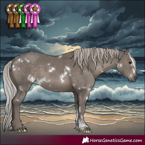 Horse Color:White Spotted Silver Black Mushroom Sabino 