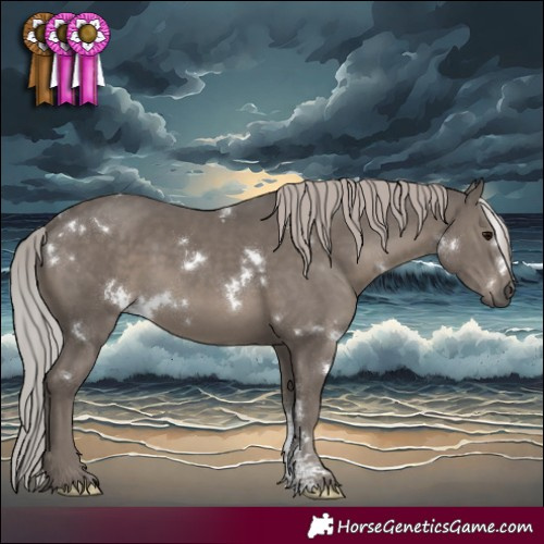 Horse Color:White Spotted Silver Black Mushroom Sabino 