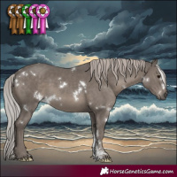 Horse Color:White Spotted Silver Black Mushroom Sabino