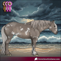 Horse Color:White Spotted Silver Black Mushroom Sabino 