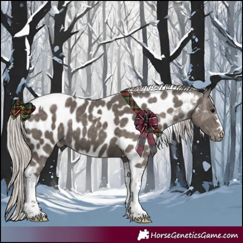 Horse Color:Silver Black Tobiano Appaloosa 