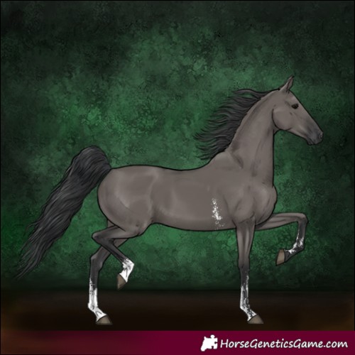 Horse Color:Grullo Sabino Rabicano 
