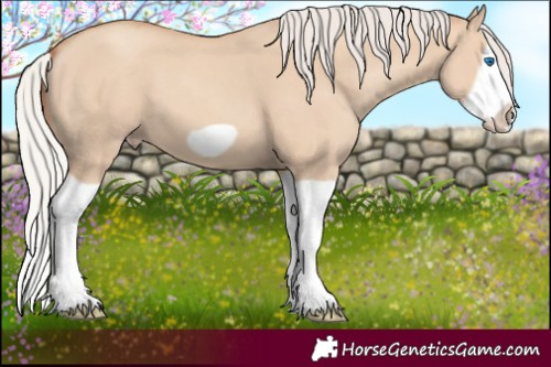 Horse Color:Silver Classic Champagne Dun Splash Frame 