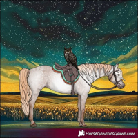 Horse Color:Gray Chestnut Appaloosa 