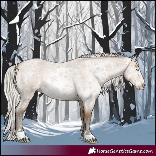 Horse Color:Gray Silver Perlino Roan 