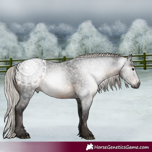 Horse Color:Gray Silver Brown Roan 