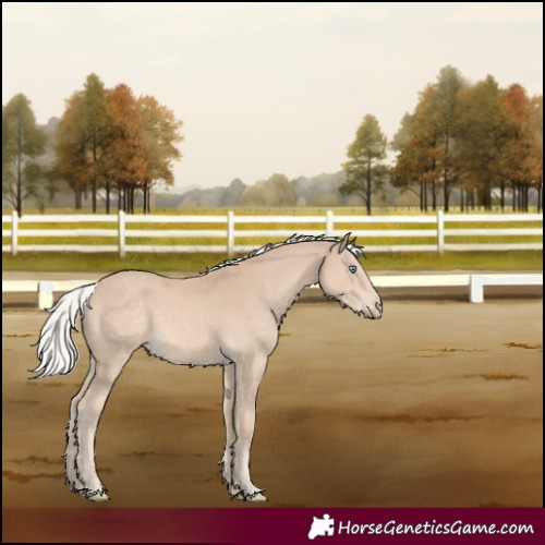 Horse Color:Silver Smoky Creme 
