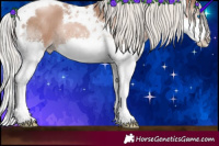 Horse Color:Silver Black Pearl Splash Tobiano 