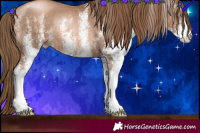 Horse Color:White Spotted Liver Chestnut Pearl Rabicano 